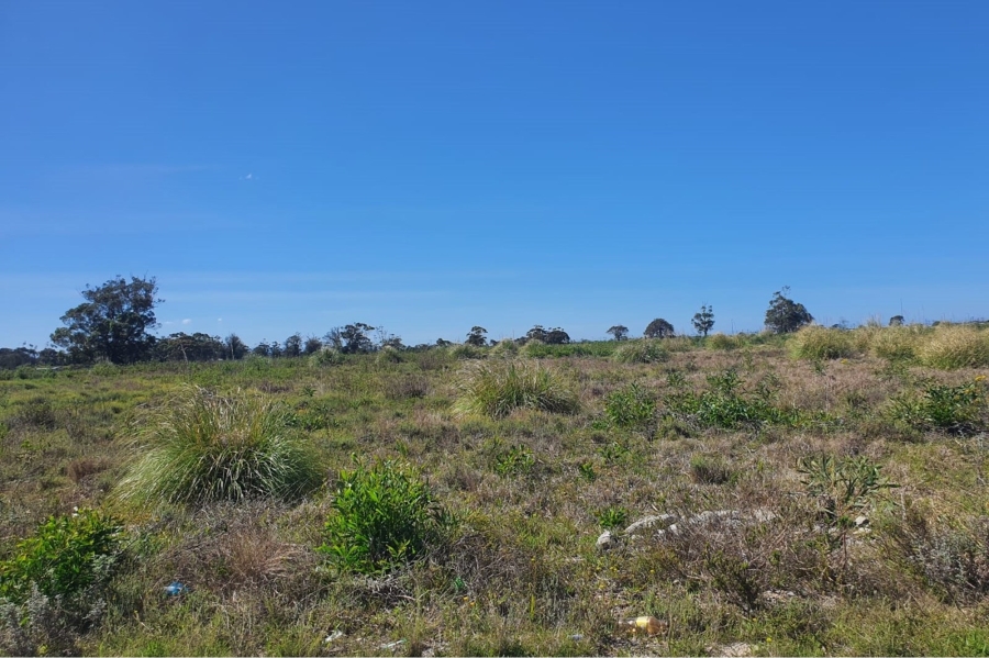 0 Bedroom Property for Sale in Greenbushes Industrial Park Eastern Cape